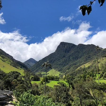 Cabanas Valle Del Cocora La Truchera Salento Esterno foto