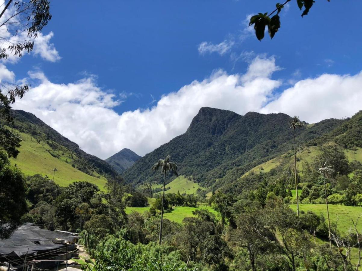 Cabanas Valle Del Cocora La Truchera Salento Esterno foto