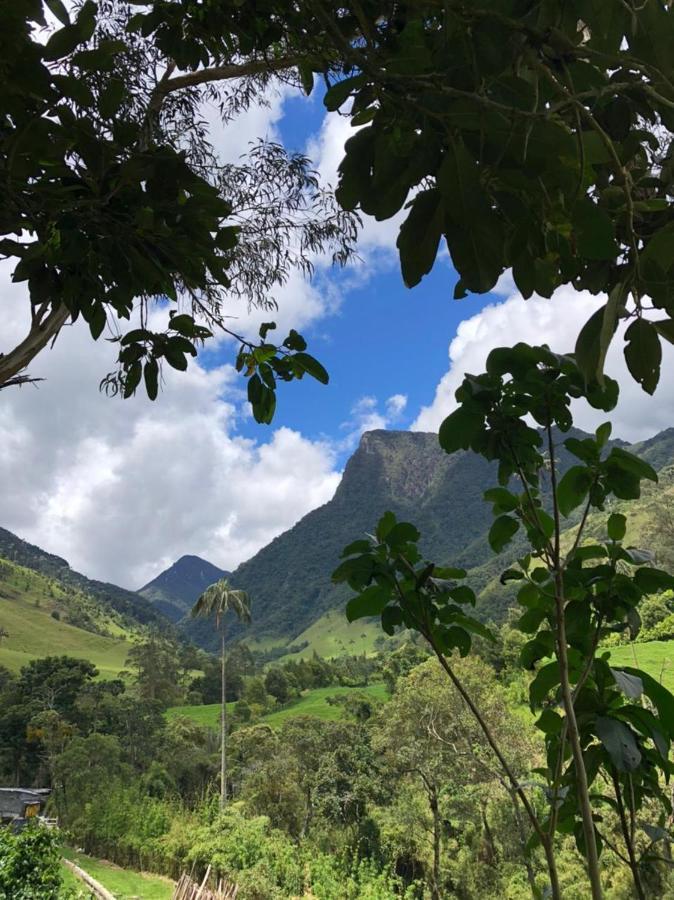 Cabanas Valle Del Cocora La Truchera Salento Esterno foto