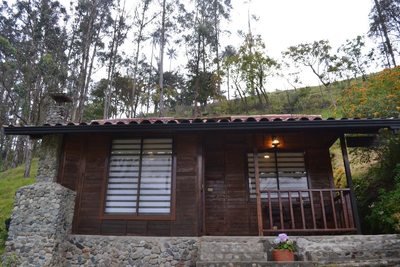 Cabanas Valle Del Cocora La Truchera Salento Esterno foto