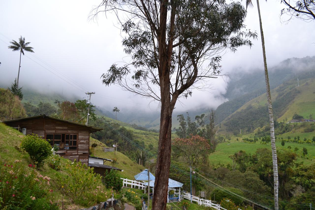 Cabanas Valle Del Cocora La Truchera Salento Esterno foto