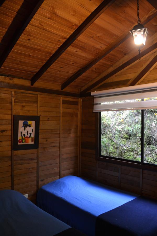 Cabanas Valle Del Cocora La Truchera Salento Esterno foto
