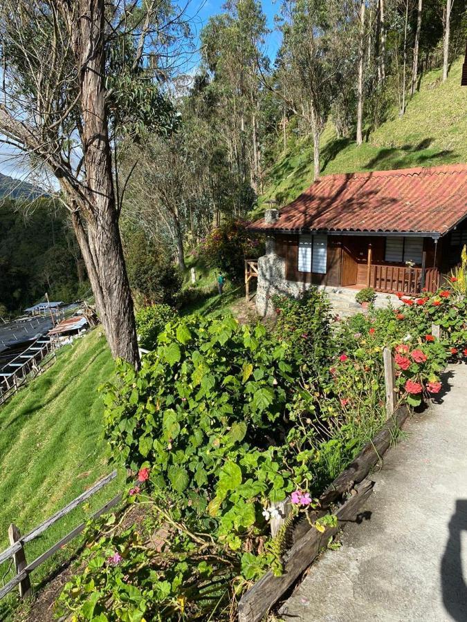 Cabanas Valle Del Cocora La Truchera Salento Esterno foto