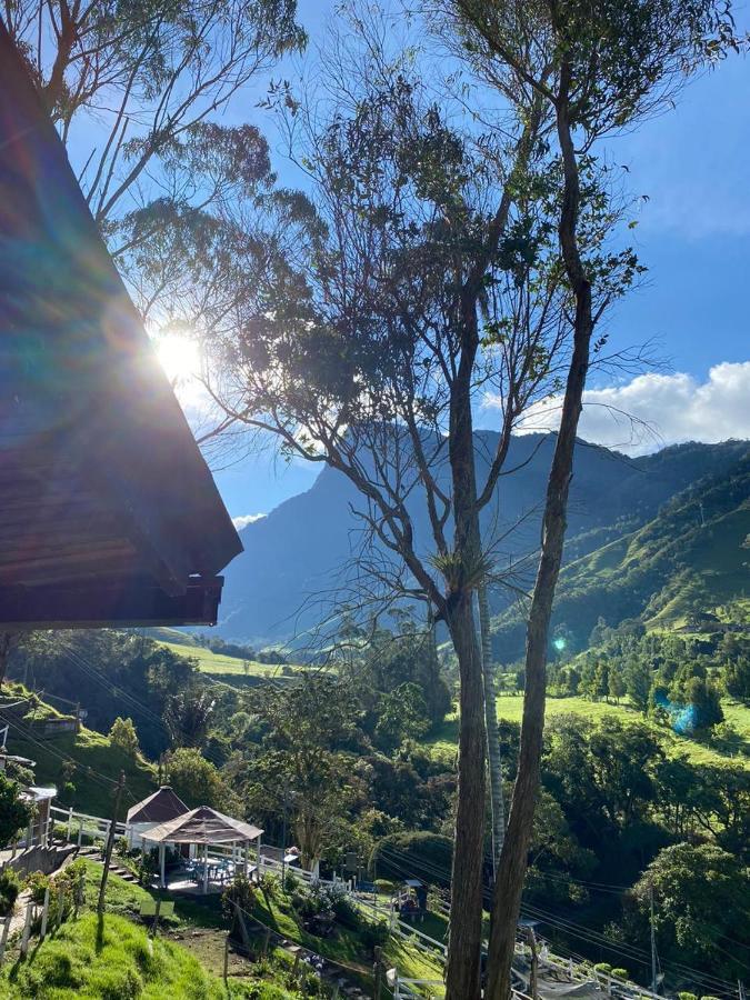 Cabanas Valle Del Cocora La Truchera Salento Esterno foto