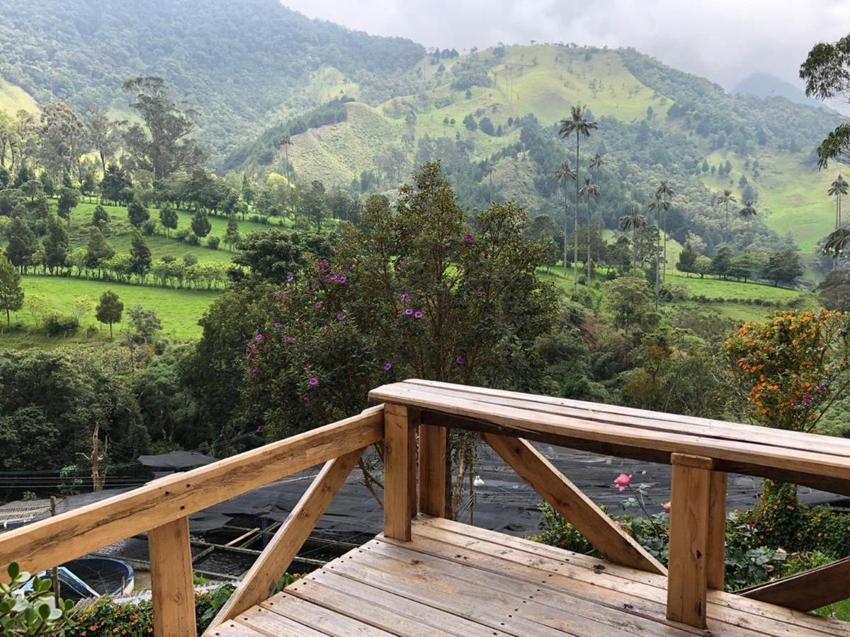 Cabanas Valle Del Cocora La Truchera Salento Esterno foto