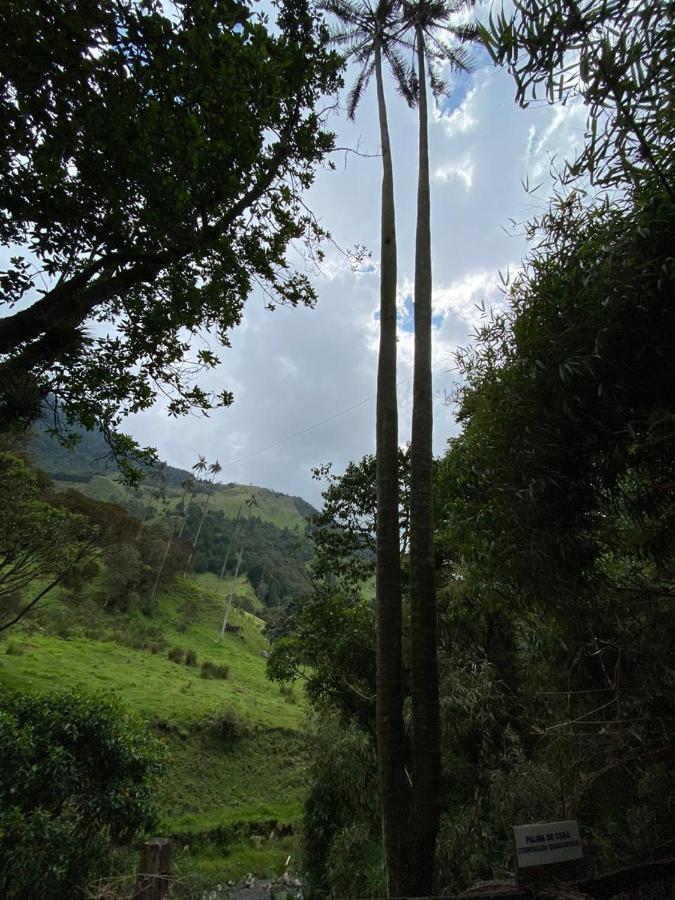 Cabanas Valle Del Cocora La Truchera Salento Esterno foto