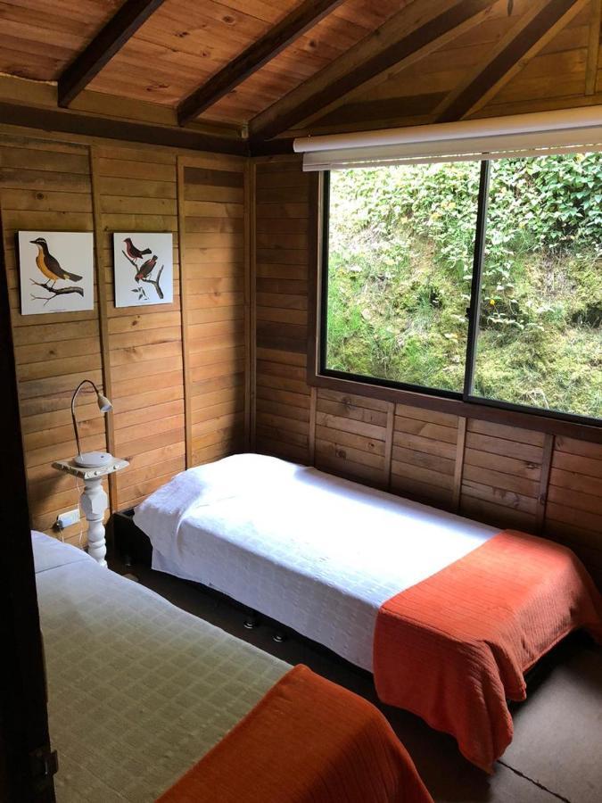 Cabanas Valle Del Cocora La Truchera Salento Esterno foto