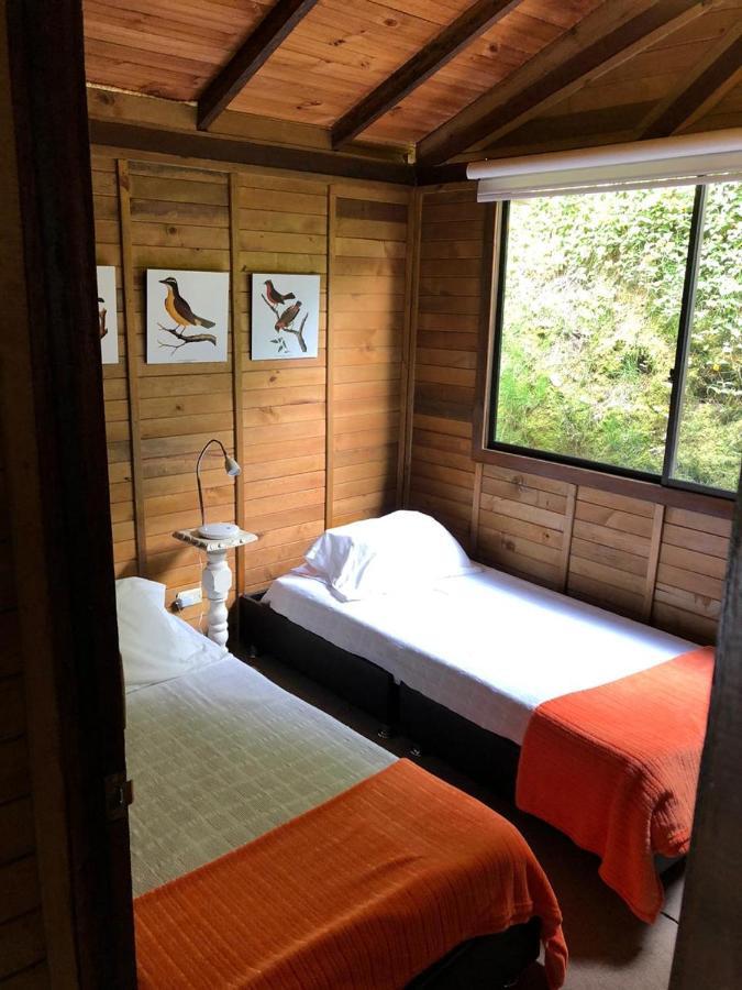 Cabanas Valle Del Cocora La Truchera Salento Esterno foto